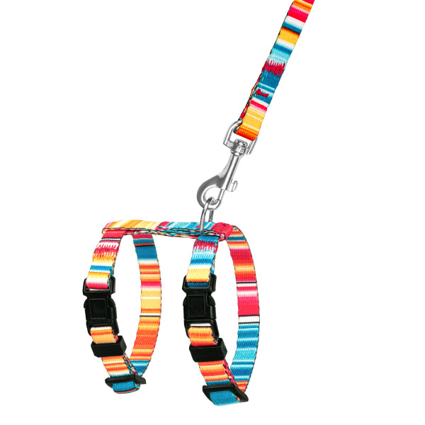 Шлея з Поводком для Котів та Дрібних Собак BronzeDog Urban West Червона