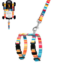 Шлея з Поводком для Котів та Дрібних Собак BronzeDog Urban West Червона