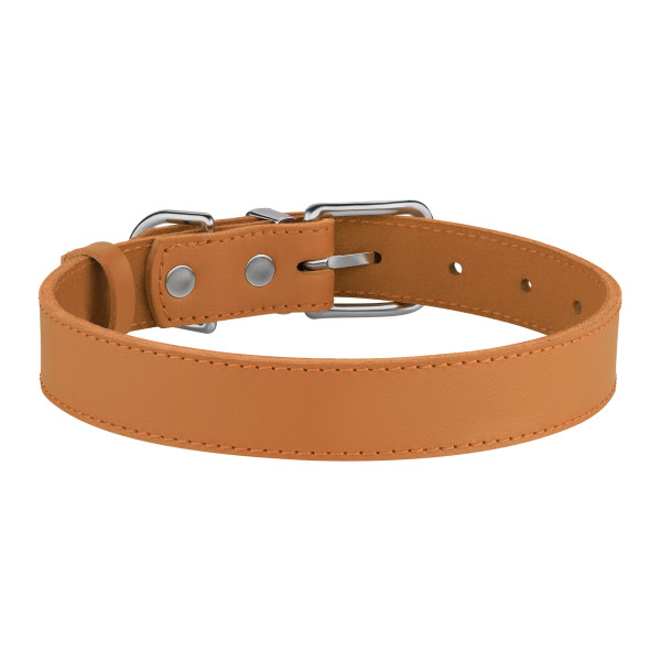 Нашийник для Собак Шкіряний BronzeDog Classic з Хромованою Фурнітурою Гірчичний