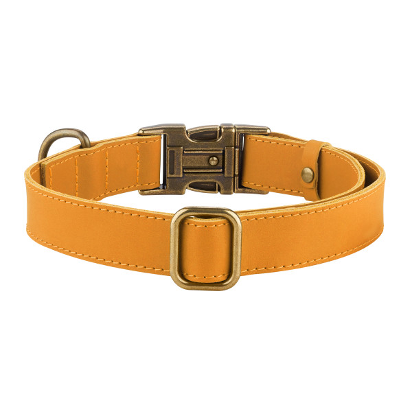 Нашийник для собак шкіряний BronzeDog Antiq голд