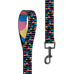 Повідець для Собак BronzeDog Urban Art Нейлоновий Бульки