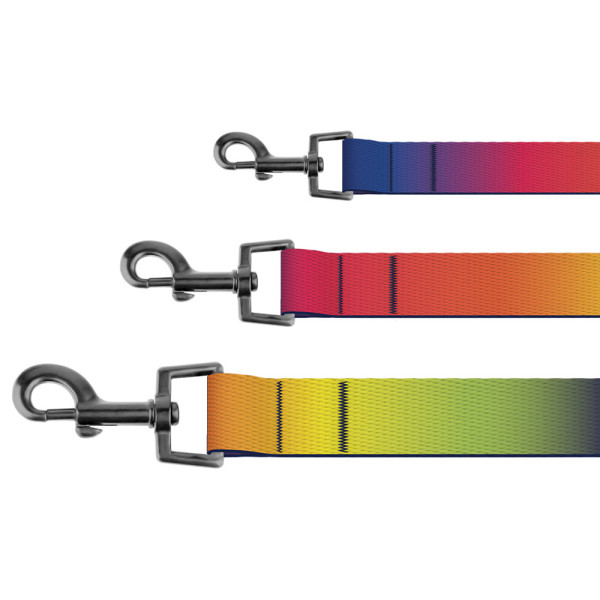 Повідець для Собак BronzeDog Urban Art Нейлоновий Градієнт