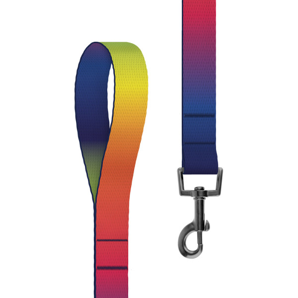 Повідець для Собак BronzeDog Urban Art Нейлоновий Градієнт