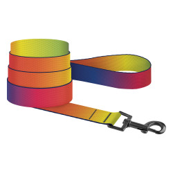 Повідець для Собак BronzeDog Urban Art Нейлоновий Градієнт