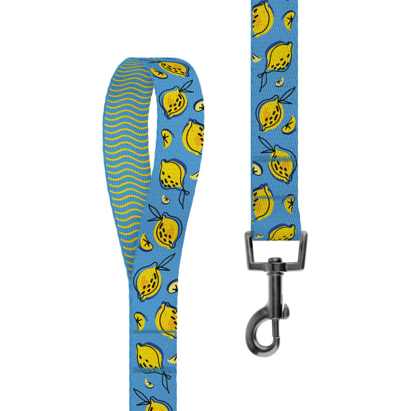 Повідець для Собак BronzeDog Urban Fruits Нейлоновий Лимони