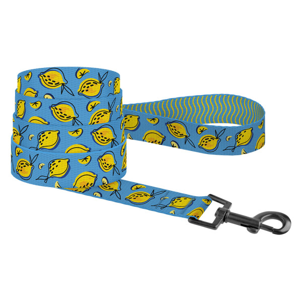 Повідець для Собак BronzeDog Urban Fruits Нейлоновий Лимони