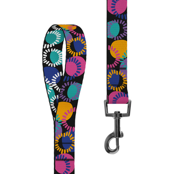 Повідець для Собак BronzeDog Urban Art Нейлоновий Диско