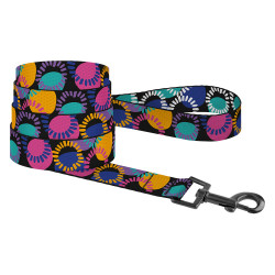 Повідець для Собак BronzeDog Urban Art Нейлоновий Диско