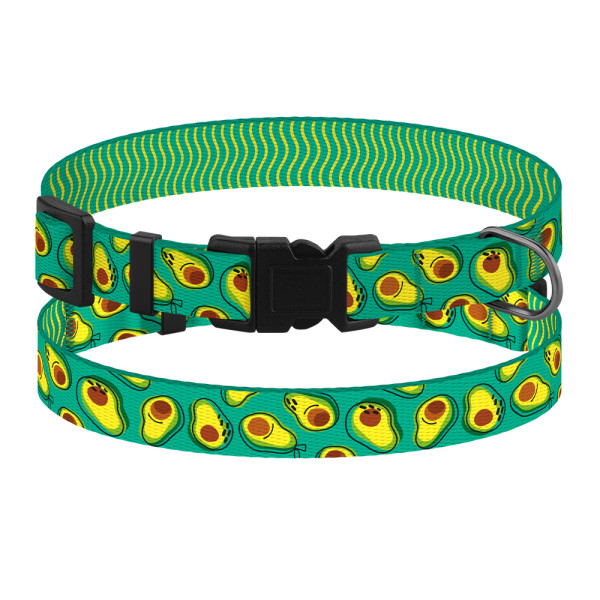 Нашийник для Собак Дрібних Порід BronzeDog Fruits Нейлоновий з Пластиковою Пряжкою Авокадо