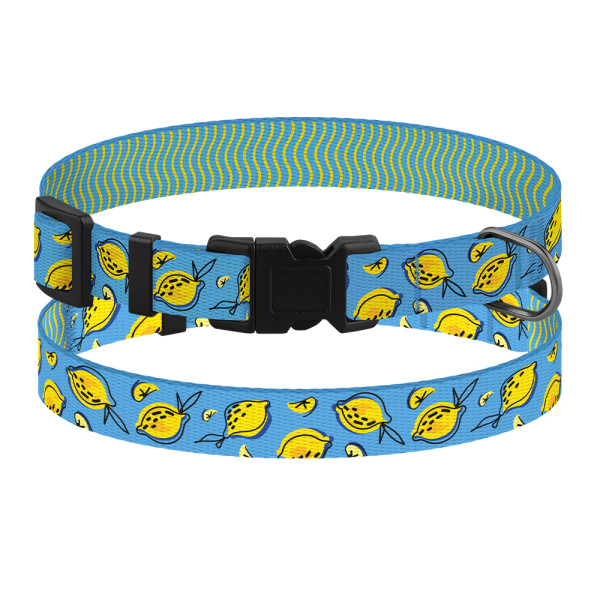 Нашийник для Собак Дрібних Порід BronzeDog Fruits Нейлоновий з Пластиковою Пряжкою Лимони