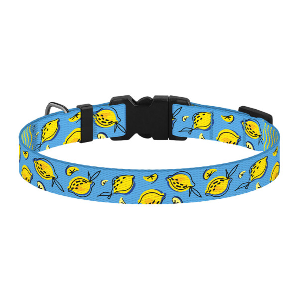 Нашийник для Собак Дрібних Порід BronzeDog Fruits Нейлоновий з Пластиковою Пряжкою Лимони