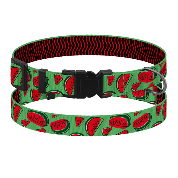 Нашийник для Собак Дрібних Порід BronzeDog Fruits Нейлоновий з Пластиковою Пряжкою Кавун