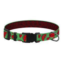 Нашийник для Собак Дрібних Порід BronzeDog Fruits Нейлоновий з Пластиковою Пряжкою Кавун