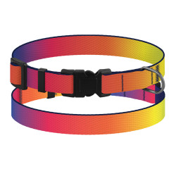 Нашийник для Собак Дрібних Порід BronzeDog Art Нейлоновий з Пластиковою Пряжкою Градієнт