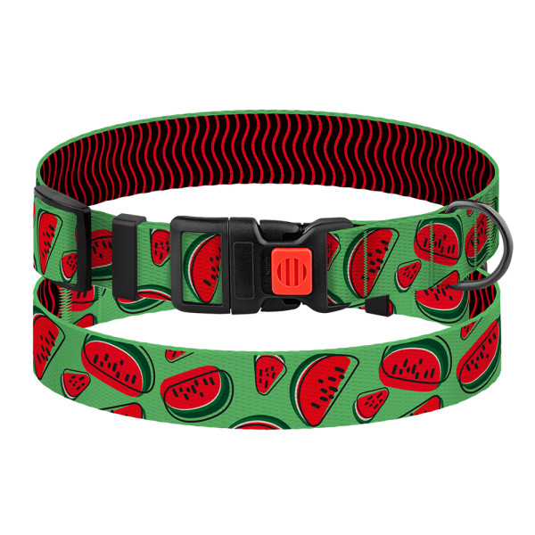 Нашийник для Собак BronzeDog Urban Fruits Нейлоновий з Пластиковою Пряжкою Кавун