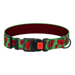 Нашийник для Собак BronzeDog Urban Fruits Нейлоновий з Пластиковою Пряжкою Кавун