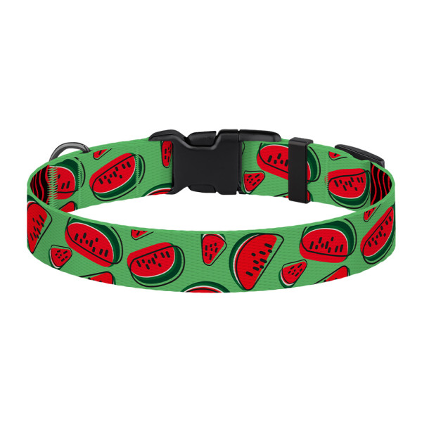 Нашийник для Собак BronzeDog Urban Fruits Нейлоновий з Пластиковою Пряжкою Кавун