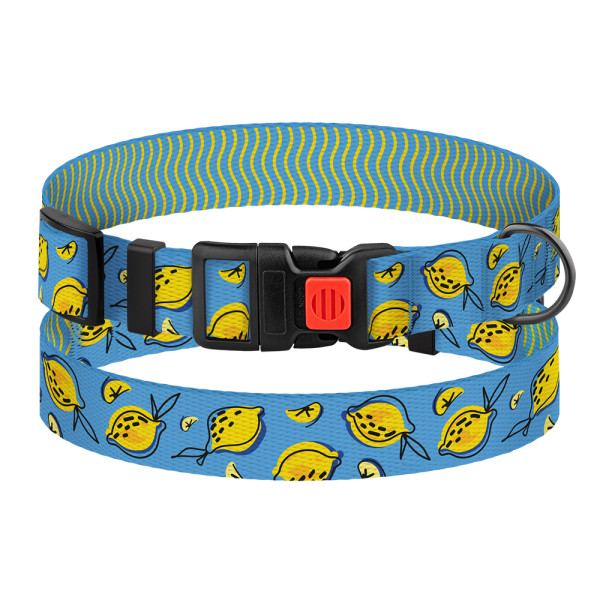 Нашийник для Собак BronzeDog Urban Fruits Нейлоновий з Пластиковою Пряжкою Лимони