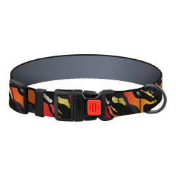 Нашийник для Собак BronzeDog Urban Art Нейлоновий з Пластиковою Пряжкою Гравітація