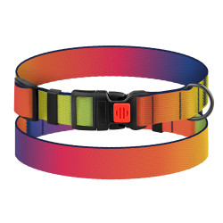 Нашийник для Собак BronzeDog Urban Art Нейлоновий з Пластиковою Пряжкою Градієнт