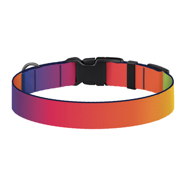 Нашийник для Собак BronzeDog Urban Art Нейлоновий з Пластиковою Пряжкою Градієнт