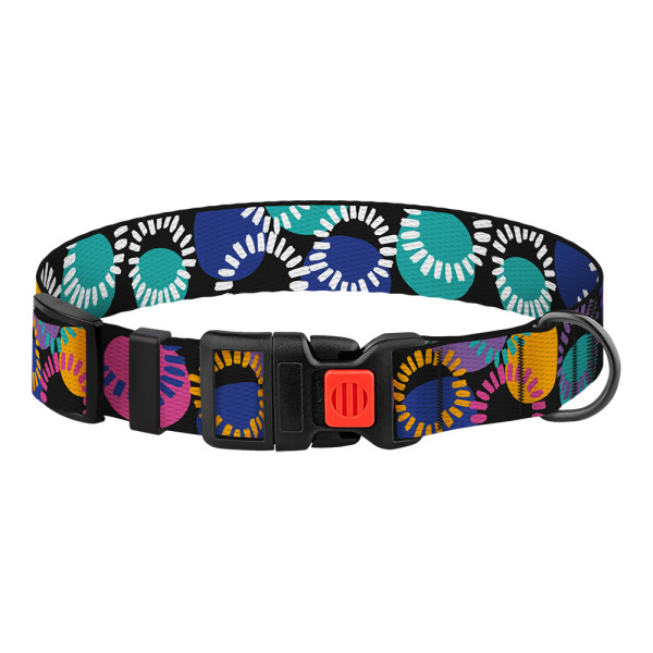 Нашийник для Собак BronzeDog Urban Art Нейлоновий з Пластиковою Пряжкою Диско