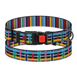 Нашийник для Собак BronzeDog Urban Art Нейлоновий з Пластиковою Пряжкою Клітинка