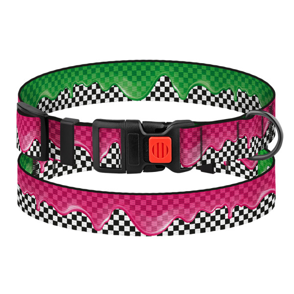 Нашийник для Собак BronzeDog Urban Art Нейлоновий з Пластиковою Пряжкою Піт-стоп