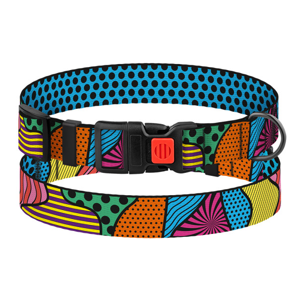 Нашийник для Собак BronzeDog Urban Art Нейлоновий з Пластиковою Пряжкою Полі