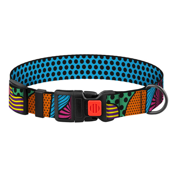 Нашийник для Собак BronzeDog Urban Art Нейлоновий з Пластиковою Пряжкою Полі