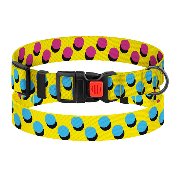 Нашийник для Собак BronzeDog Urban Art Нейлоновий з Пластиковою Пряжкою Поп Арт