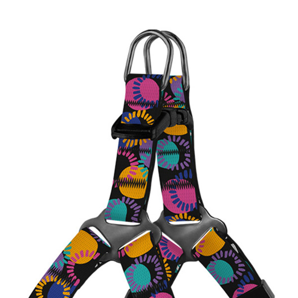 Шлея для Собак Дрібних Порід BronzeDog Urban Art Диско