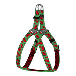 Шлея для Собак Дрібних Порід BronzeDog Urban Fruits Кавун