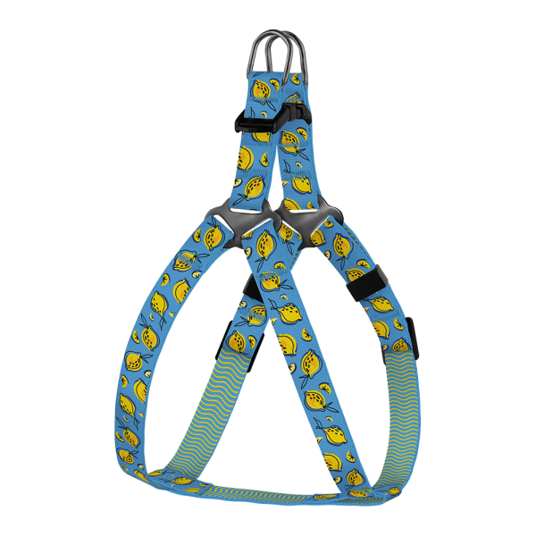 Шлея для Собак Дрібних Порід BronzeDog Urban Fruits Лимони