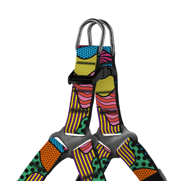 Шлея для Собак Дрібних Порід BronzeDog Urban Art Полі