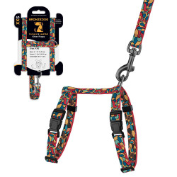 Шлея з Поводком для Котів та Дрібних Собак BronzeDog Urban Art Вітраж