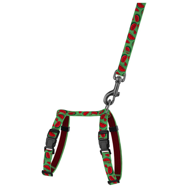 Шлея з Поводком для Котів та Дрібних Собак BronzeDog Urban Fruits Кавун