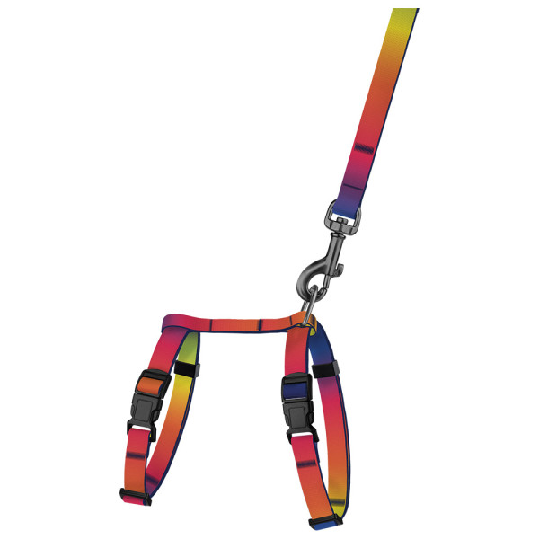 Шлея з Поводком для Котів та Дрібних Собак BronzeDog Urban Art Градієнт