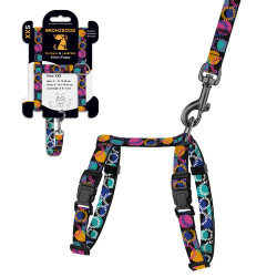 Шлея з Поводком для Котів та Дрібних Собак BronzeDog Urban Art Диско