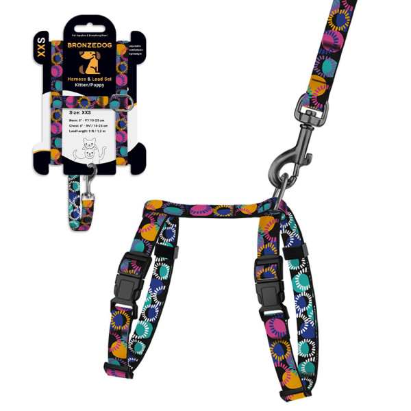 Шлея з Поводком для Котів та Дрібних Собак BronzeDog Urban Art Диско