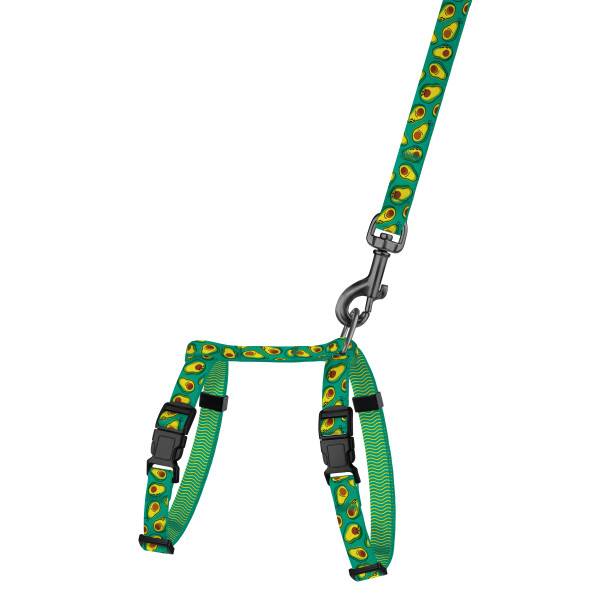 Шлея з Поводком для Котів та Дрібних Собак BronzeDog Urban Fruits Авокадо