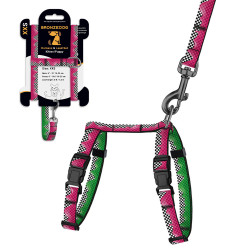 Шлея з Поводком для Котів та Дрібних Собак BronzeDog Urban Art Піт-стоп