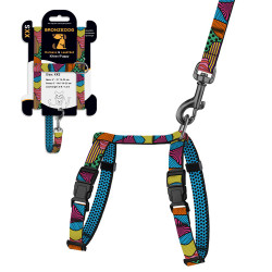 Шлея з Поводком для Котів та Дрібних Собак BronzeDog Urban Art Полі