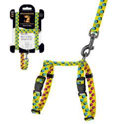 Шлея з Поводком для Котів та Дрібних Собак BronzeDog Urban Art Поп Арт