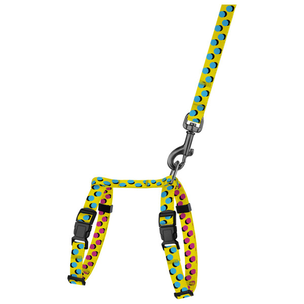 Шлея з Поводком для Котів та Дрібних Собак BronzeDog Urban Art Поп Арт