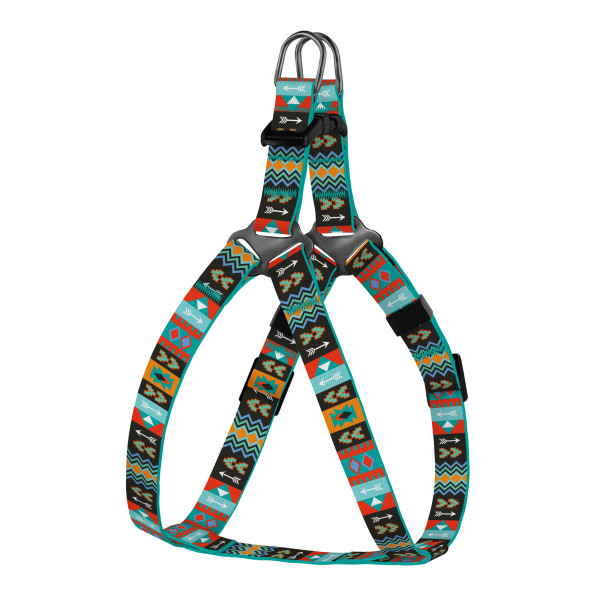 Шлея для Собак дрібних порід BronzeDog Urban Нейлонова Ацтеки