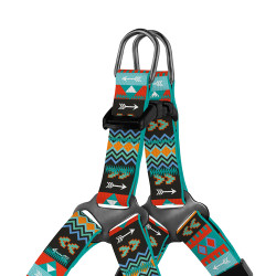 Шлея для Собак дрібних порід BronzeDog Urban Нейлонова Ацтеки