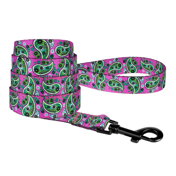 Повідець для собак BronzeDog Urban нейлоновий Огірки Рожевий