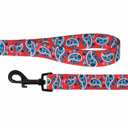 Повідець для собак BronzeDog Urban нейлоновий Огірки Червоний