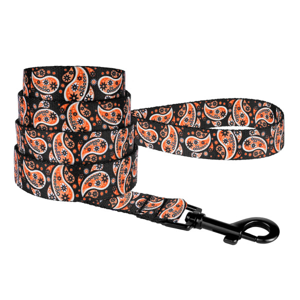 Повідець для собак BronzeDog Urban нейлоновий Огірки Чорний